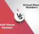 voip vs virtual